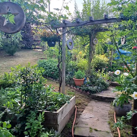 Les Effraies * Hohrod