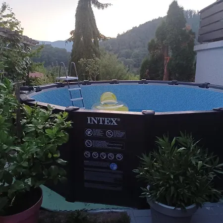 Les Effraies Nyaraló *